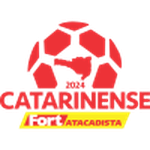 Catarinense - 2 football.logo