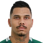 Alisson Taddei Photo