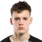 D. Fesiuk