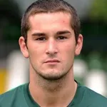 D. Schmidt