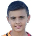 F. Ulupınar