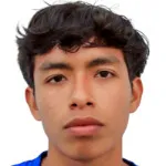 H. Gordillo