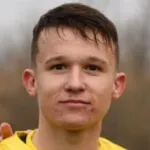 M. Ilenič