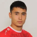 N. Miličić