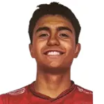 N. Villarroel Galindo