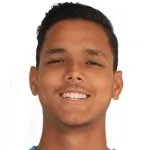 P. Mehdi