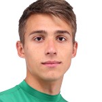 P. Pavlyuchenko Photo