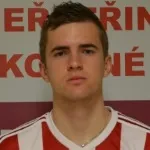R. Dedič