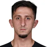 R. Potinyan