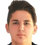 R. Yemişçi