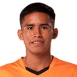 Y. Yanique