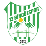 12 Bingölspor Logo