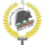 Adjidja logo