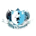 Ailly logo