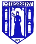 Amesbury Town logo