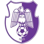Arges Pitesti logo