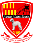 Bedlington Terriers FC Logo