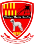 Bedlington Terriers FC logo