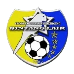 Bintang Lair