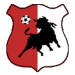 Bonyhád Völgység Logo