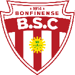 Botafogo BA Logo