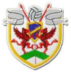 Bryntirion Athletic Logo