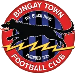 Bungay Town