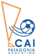 CAI Logo