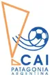 CAI logo