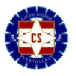 Calvo Sotelo logo