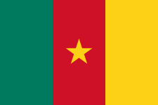 Cameroon W Logo