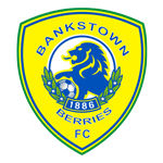 Canterbury Bankstown football.logo