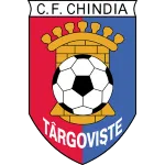Chindia Targoviste logo