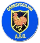 Croesyceiliog AFC logo