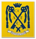 Cwmbran Town logo
