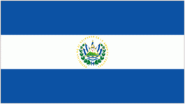 El Salvador W Logo