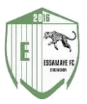 Essamaye logo