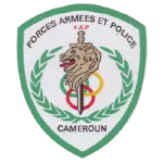 FAP logo