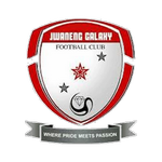 Galaxy Logo