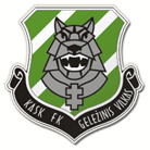 Geležinis Vilkas Logo