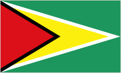 Guyana W U17 logo