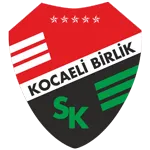 Körfez Spor