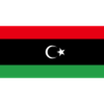 Libya football.logo