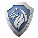 Merani Tbilisi football.logo