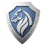 Merani Tbilisi II logo
