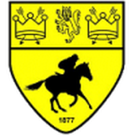 Newmarket football.logo