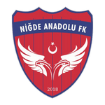 Niğde Anadolu Logo
