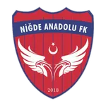 Niğde Anadolu