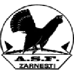 Olimpic Zărneşti logo