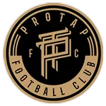 Protap logo